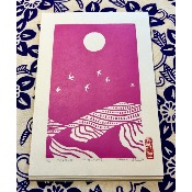 GRAVURE "un printemps"