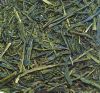 SENCHA ASA BIO Jugetsudo