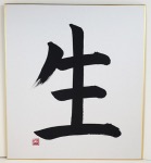 CALLIGRAPHIE JAPONAISE IKIRU - vivre