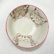 BOL RAMEN NEKO ROSE OU BLEU