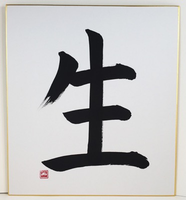 CALLIGRAPHIE JAPONAISE IKIRU - vivre
