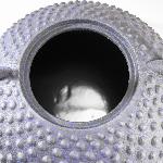 THÉIÈRE JAPONAISE EN FONTE WAZUQU HIRA-ARARE BLEUE 1100ml